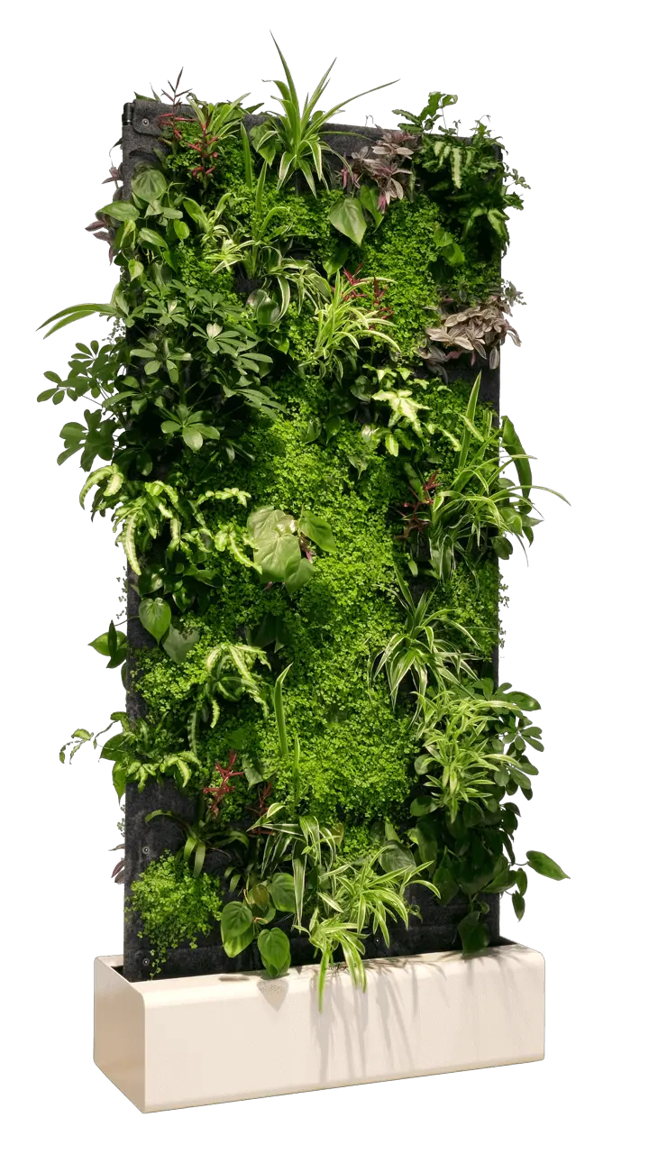 Separador de ambientes de pared vegetal vivit divider pro 10