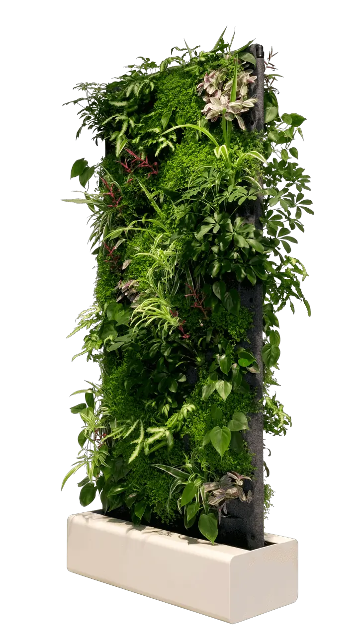 Separador de ambientes de pared vegetal vivit divider pro 15