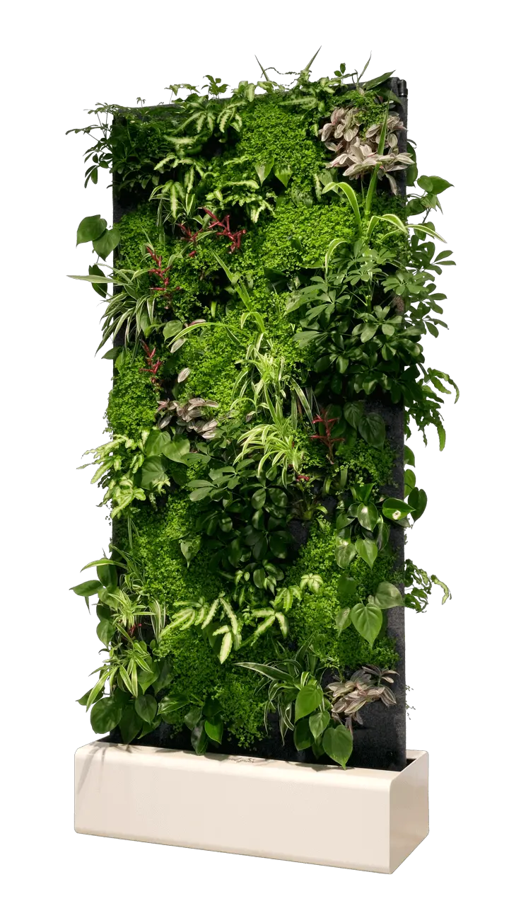 Separador de ambientes de pared vegetal vivit divider pro 16