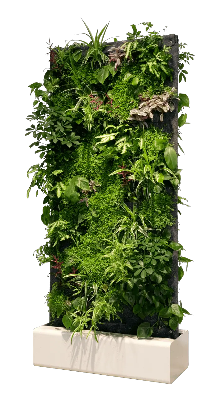 Separador de ambientes de pared vegetal vivit divider pro 8