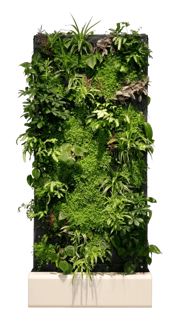 Separador de ambientes de pared vegetal vivit divider pro 9
