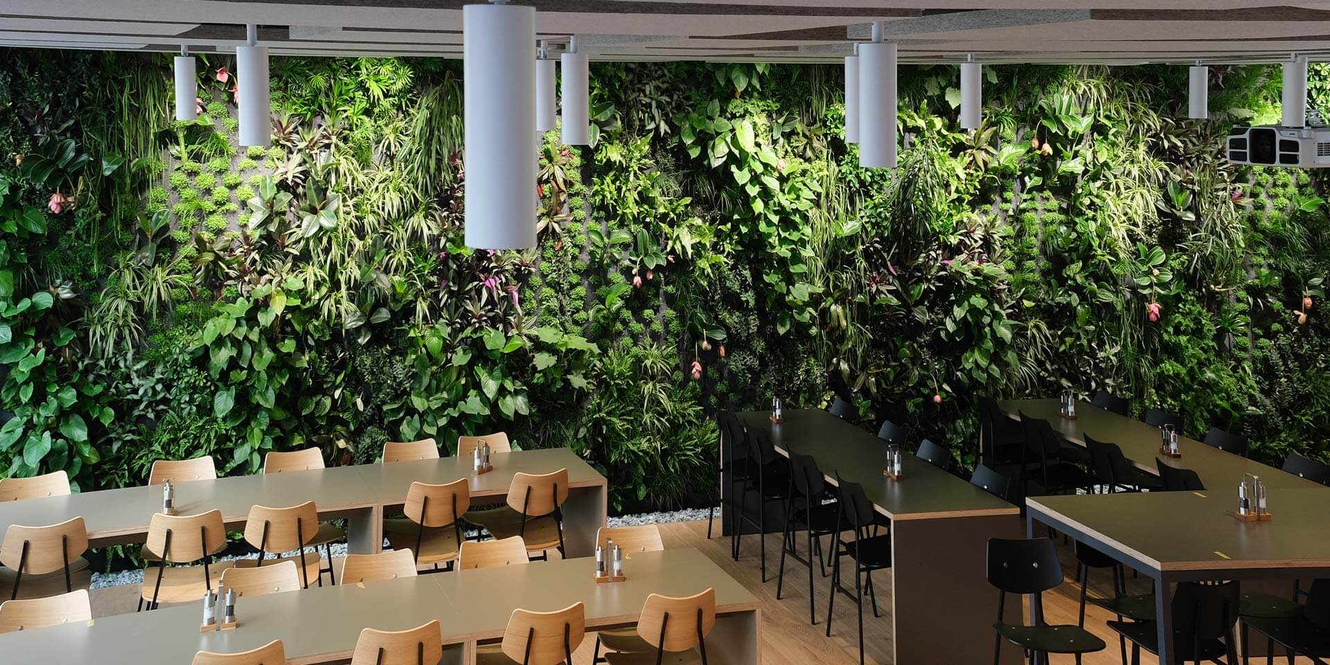 Interior de um café moderno com uma grande *parede de plantas da Vivit – fabricante suíça* nas paredes, com mesas de madeira, cadeiras pretas e iluminação suave.
