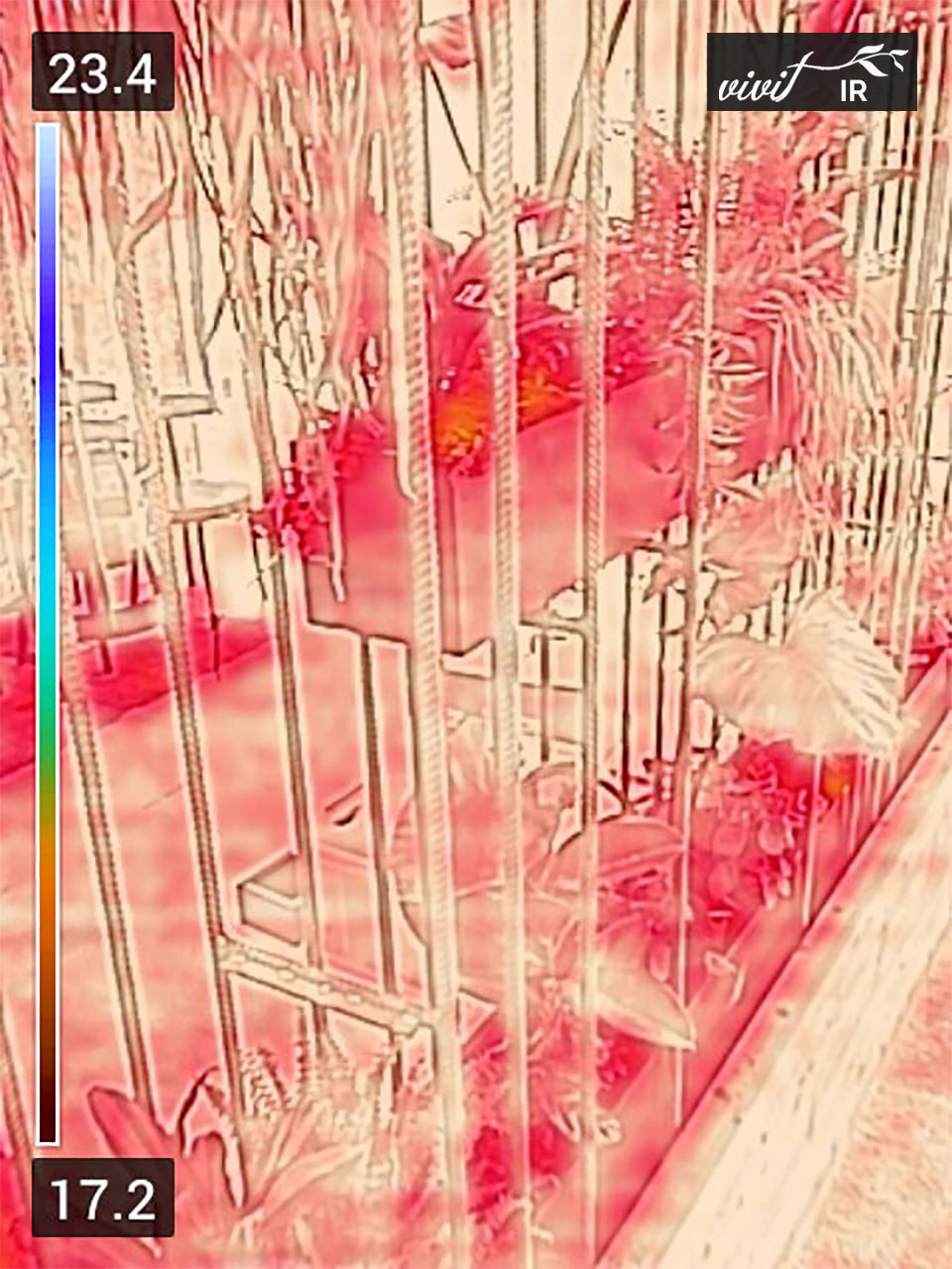 Infrarot-Thermographiebild, das Wärmeschwankungen in einer Pflanzenwand zeigt, mit numerischen Anmerkungen links und oben rechts.