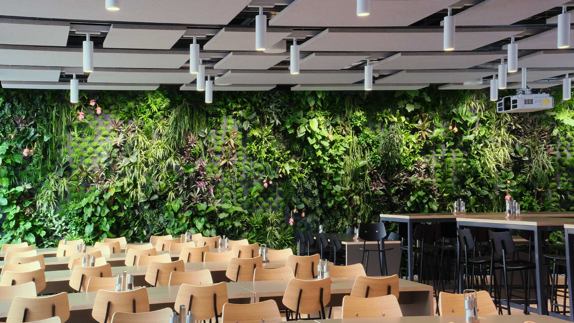 Interior moderno do restaurante com fileiras de mesas e cadeiras de madeira, uma área de bar e uma grande parede de plantas na parede.
