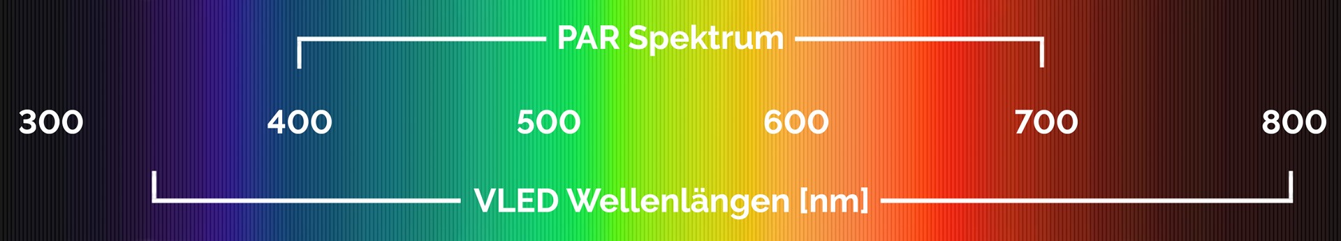 Pflanzenstrahler: Farbspektrum-Diagramm von 300 bis 800 nm, dargestellt in einem fließenden Farbverlauf von Violett zu Rot, zeigt die effektiven Wellenlängen für Pflanzenlicht.