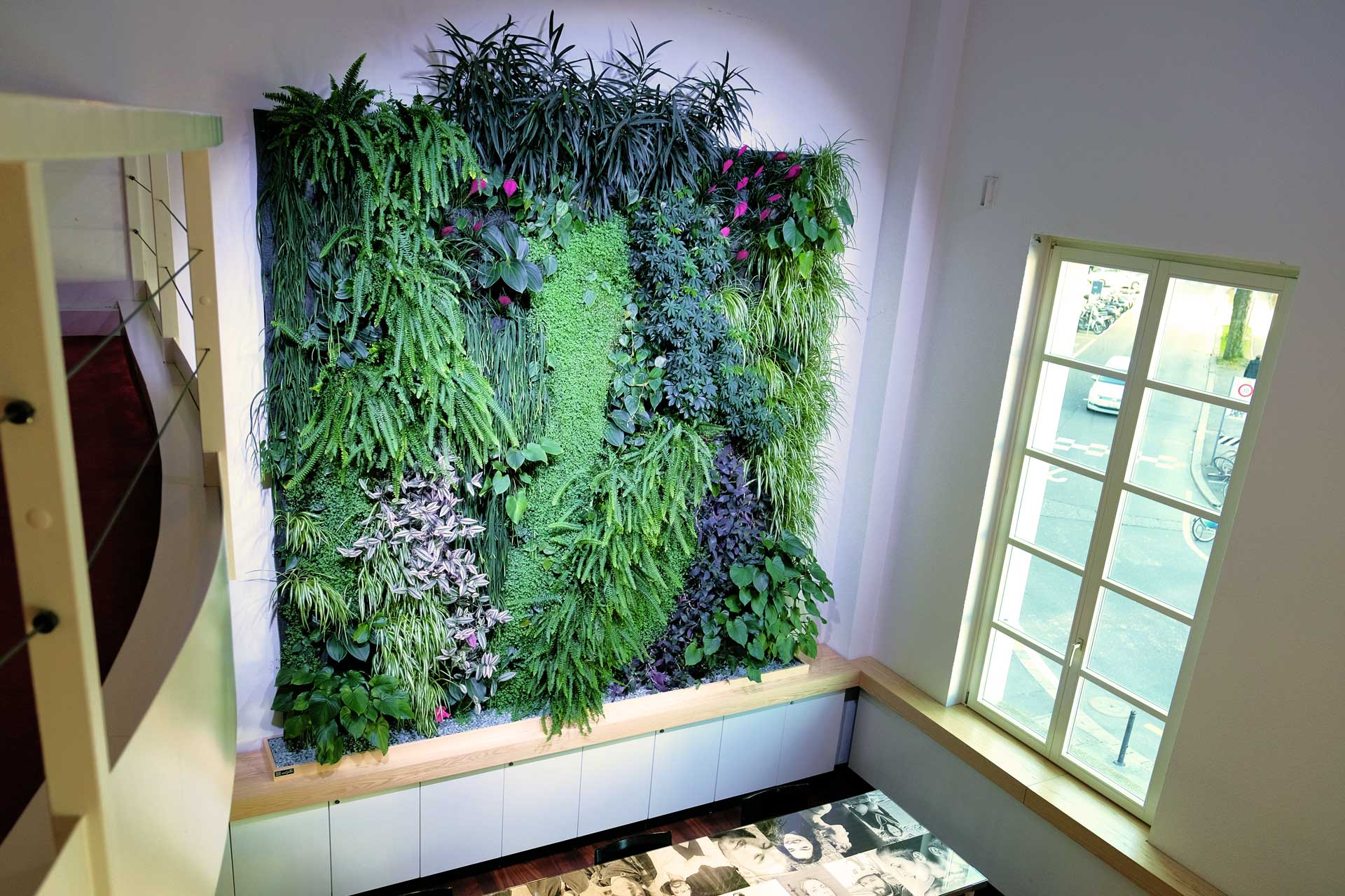 a wall with plants on it