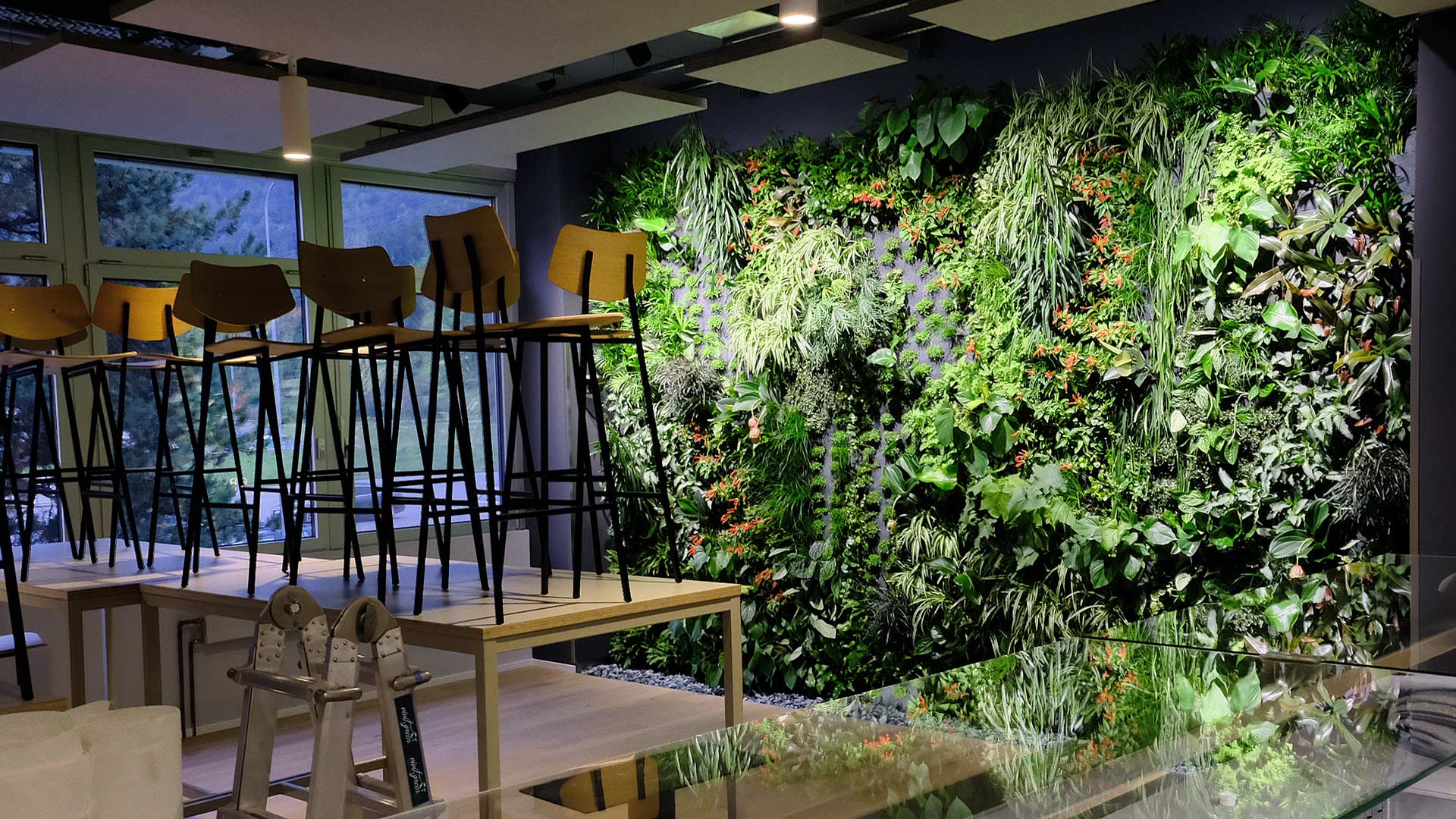 Ein Essbereich in einem modernen Restaurant mit hohen Stühlen, die auf Tischen gestapelt sind, vor einer großen, lebendigen vertikalen Gartenwand. Die Wand ist üppig bepflanzt und schafft eine grüne, einladende Atmosphäre. Impressum: Gomes Design AG