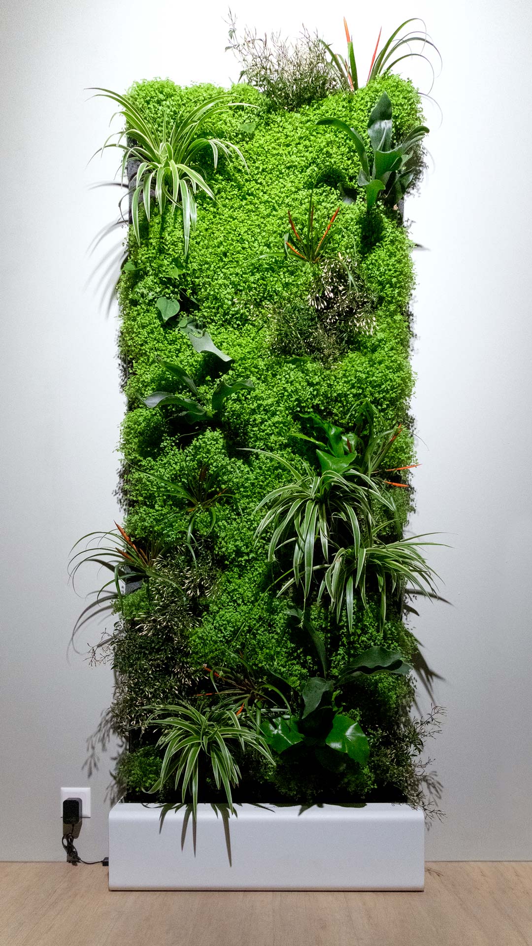 ein vertikales gartensystem mit verschiedenen grünpflanzen und moosartig, installiert an einer wand vor einem schlichten hintergrund und beleuchtet durch deckenbeleuchtung.